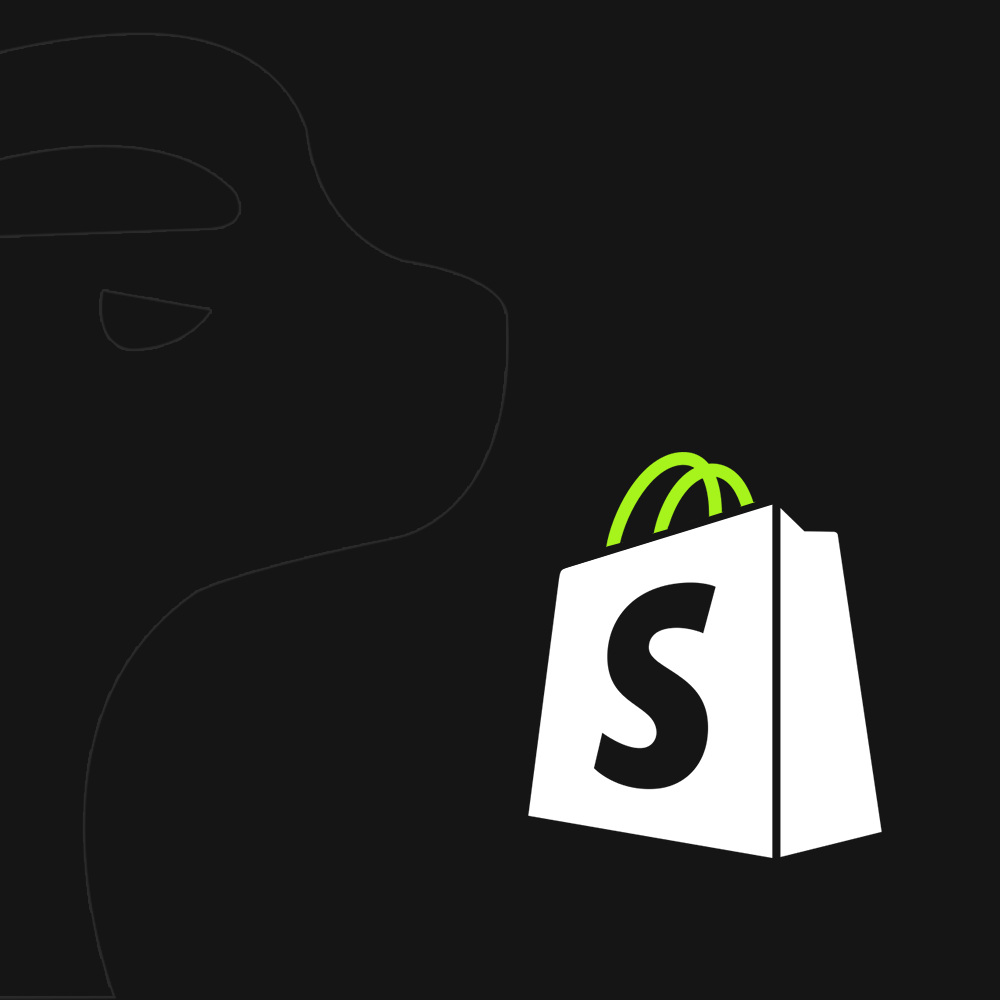 Shopify Türkiye'de Neden Tercih Ediliyor, Neden Edilmiyor? (2025 Güncel Rehber)