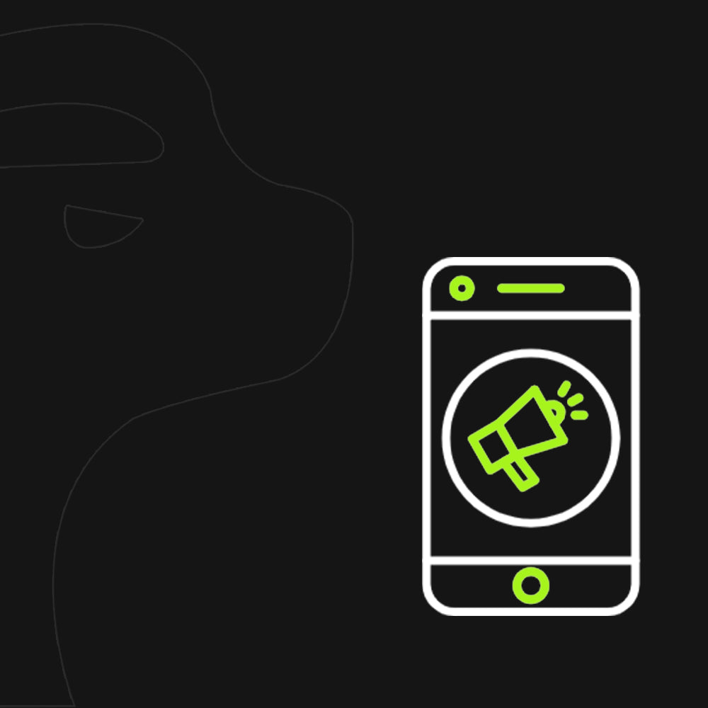 Telefon Ekrana Sürekli Reklam Çıkıyor, Nasıl Engellerim?