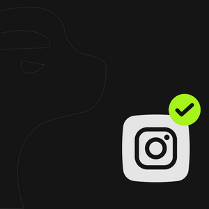 Instagram Mavi Tik Nedir? Instagram Mavi Tik Ne İşe Yarar? Instagram Mavi Tik Nasıl Alınır?