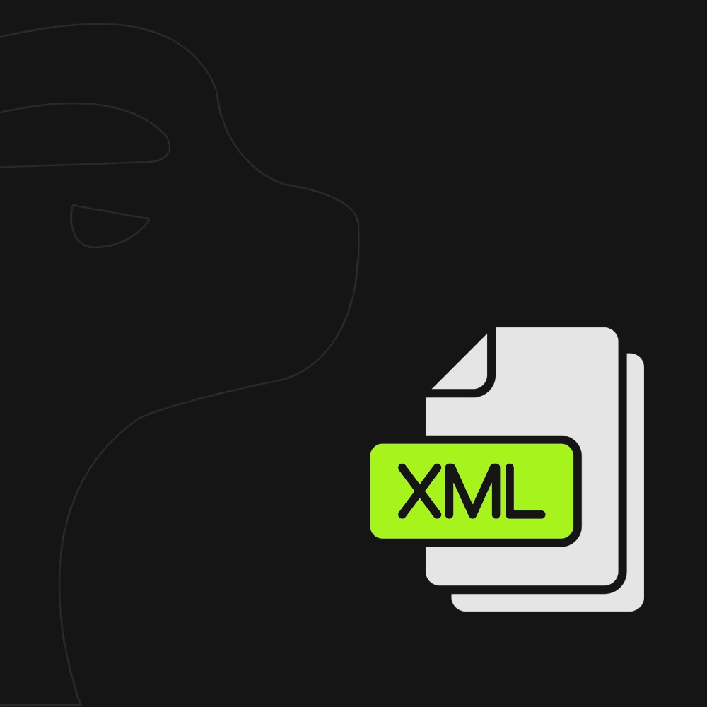 XML Bayilik Nedir? XML Bayilik Veren Firmalar ve Avantajları