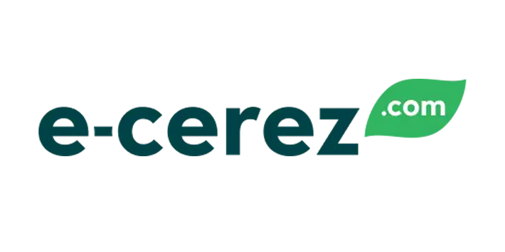 E -Çerez