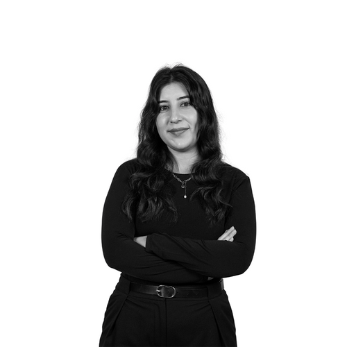Mefa Demirci