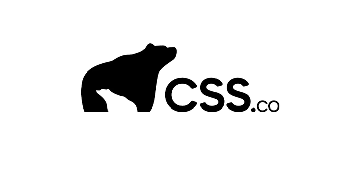 CSS Company
