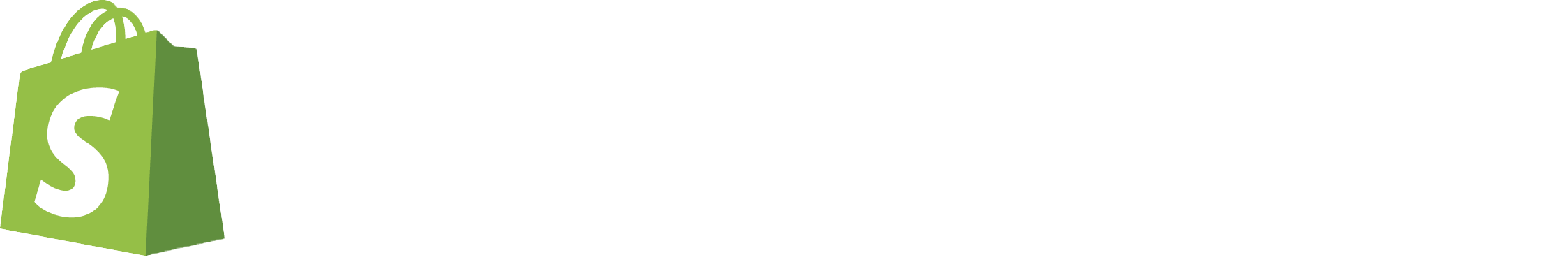 Shopify Partner